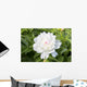 White Peony Wall Decal