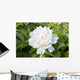 White Peony Wall Decal