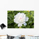 White Peony Wall Decal
