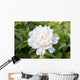 White Peony Wall Decal