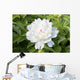 White Peony Wall Decal