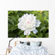 White Peony Wall Decal