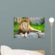 Lion Wall Decal
