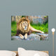 Lion Wall Decal