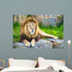 Lion Wall Decal