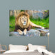 Lion Wall Decal