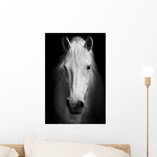 White Horses Black and Wall Decal