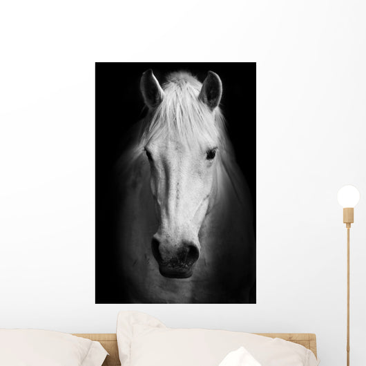 White Horses Black and Wall Decal