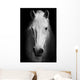 White Horses Black and Wall Decal