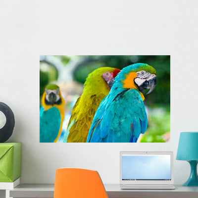 Blue Macaw Parrots Wall Decal shown on a wall