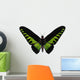 Rajah Brooke's Birdwing Wall Decal