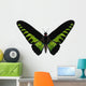 Rajah Brooke's Birdwing Wall Decal