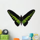 Rajah Brooke's Birdwing Wall Decal