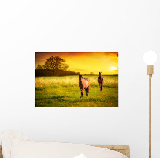 Horses Sunset Wall Decal