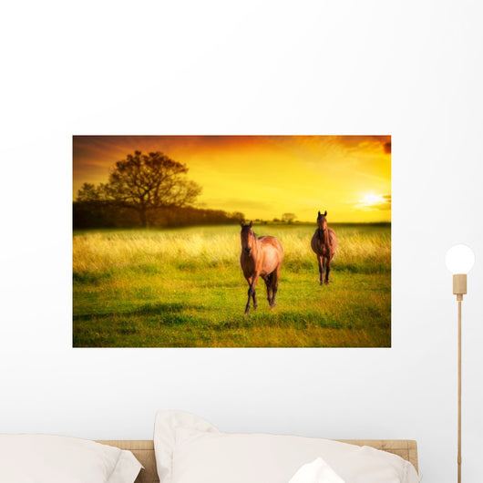 Horses Sunset Wall Decal