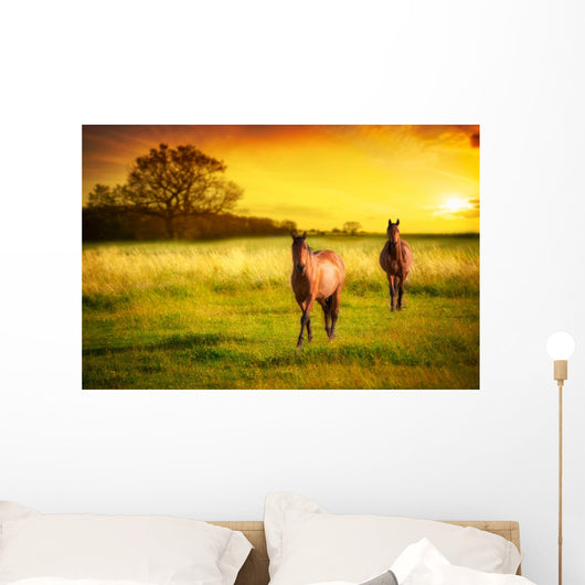 Horses Sunset Wall Decal