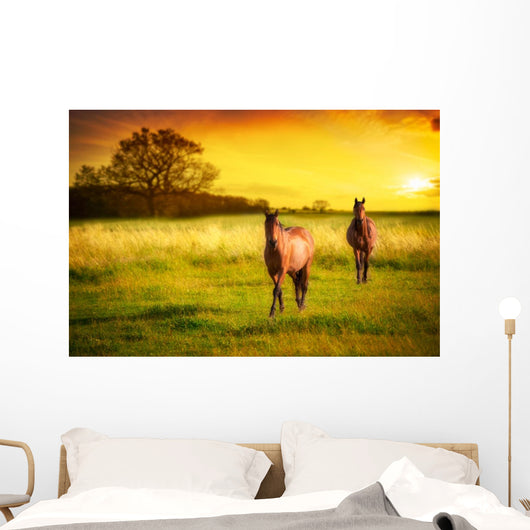 Horses Sunset Wall Decal
