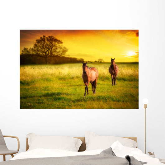 Horses Sunset Wall Decal
