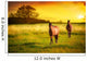 Horses Sunset Wall Decal