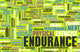 Endurance Wall Decal