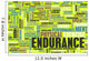 Endurance Wall Decal