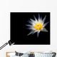 Water Lilly Wall Decal