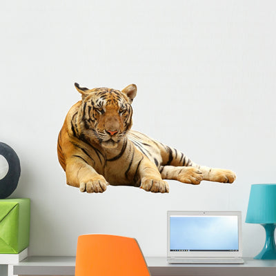 Tiger Lying Down Wall Decal shown on a wall