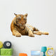 Tiger Lying Down Wall Decal