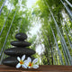 Zen Basalt Stones and Wall Decal