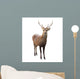 Deer Wall Decal