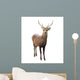Deer Wall Decal