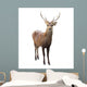 Deer Wall Decal