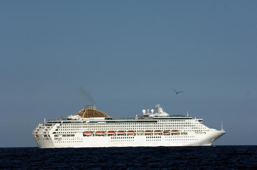 Cruise Ship Wall Decal