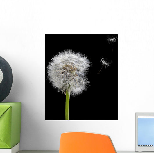 Old Dandelion and Flying Wall Decal
