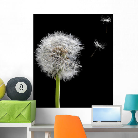 Old Dandelion and Flying Wall Decal