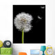 Old Dandelion and Flying Wall Decal