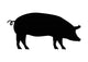 Pig Silhouette Wall Decal