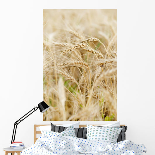 Wheat up Wall Decal