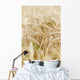 Wheat up Wall Decal
