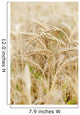 Wheat up Wall Decal