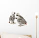 3 Baby Parrots Wall Decal