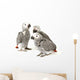 3 Baby Parrots Wall Decal