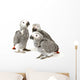 3 Baby Parrots Wall Decal