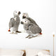 3 Baby Parrots Wall Decal