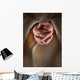 Hands Jesus Clasped Prayer Wall Decal