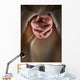 Hands Jesus Clasped Prayer Wall Decal