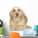 Labrador Retriever Cream Wall Decal