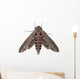 Convolvulus Hawk-moth Agrius Convolvuli Wall Decal