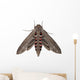 Convolvulus Hawk-moth Agrius Convolvuli Wall Decal