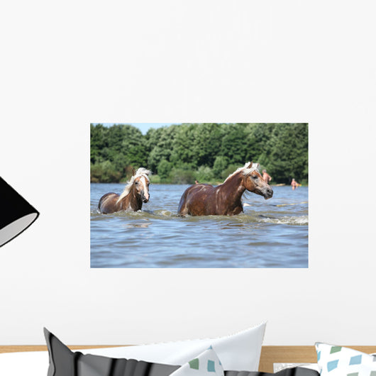 Nice Haflingers Water Wall Decal